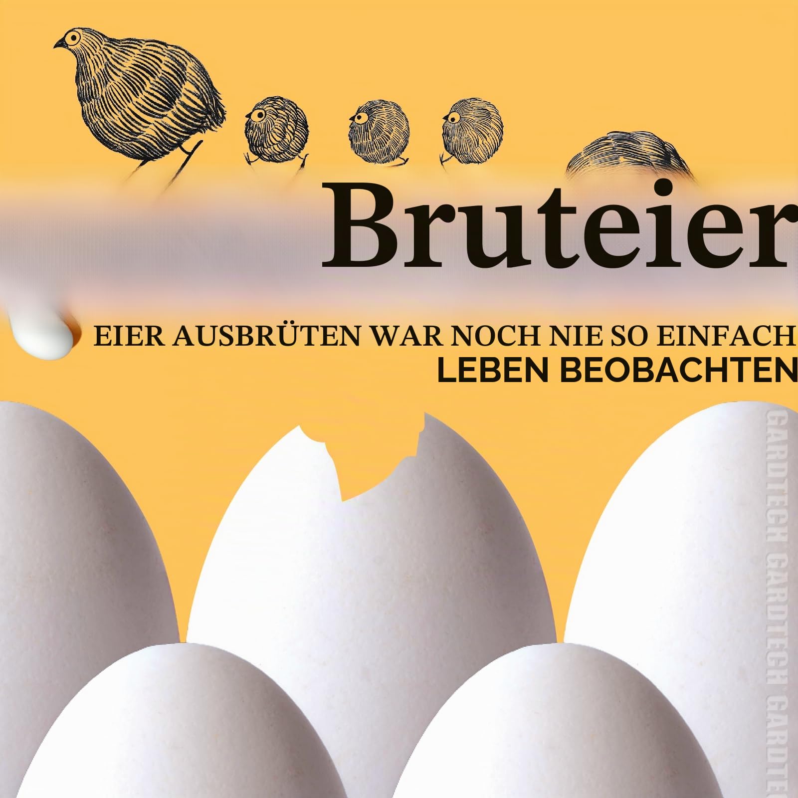 GARDTECH Brutautomat Vollautomatisch, 10 Eier Inkubator, Brutmaschine Vollautomatisch, Intelligente Temperaturregelung, Automatischem Ei Wendung, Datum der Bebrütung, Brutautomat Form des Hauses