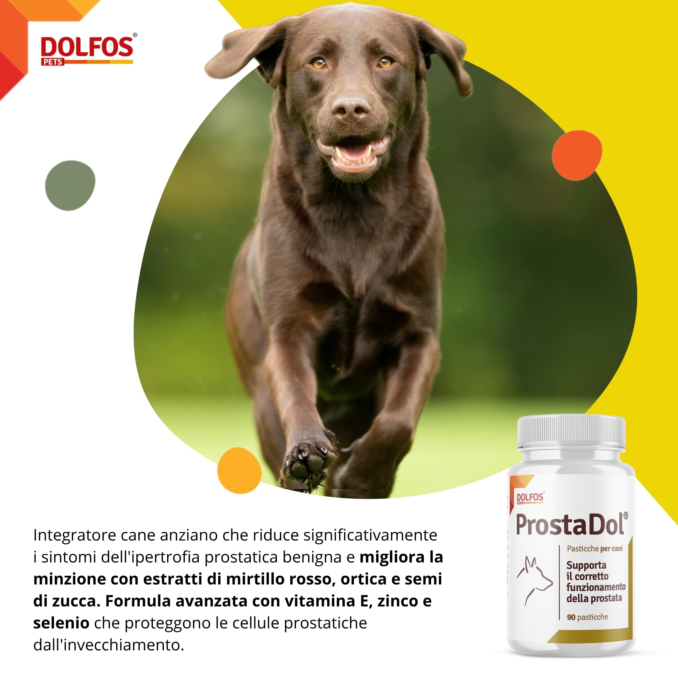 Dolfos Pets Dolvit ProstaDol Integratori per Cane, 90 Compresse, Prostata e Vie Urinarie, con Beta-Sitosteroli e Estratti Naturali, Integratore per Cani Anziani e Adulti