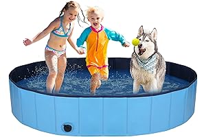 Decorlife: The Kiddie Pool That Redefines Water Play for Dogs and Kids