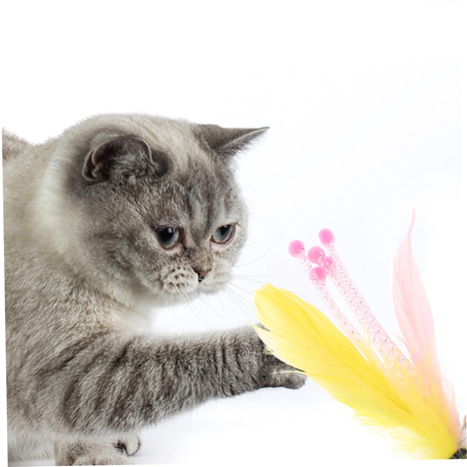 40stücke Teiliges Interaktiver Katzenfederspielzeuge Multi-funktionale Katzenspielzeuge Für Aktive Katzen Fördert Bewegung Und Agilität Für Katzenalter
