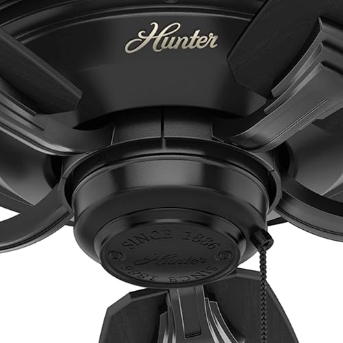 Miniatura 6 de Hunter Rainsford Ventilador de techo para interiores y exteriores con control de cadena de tracción 52 pulgadas negro