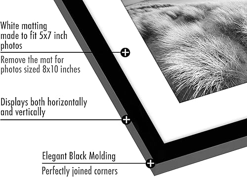Vista 676 de Americanflat Portarretratos de 8 x 12 pulgadas con plexiglás pulido, juego de 2 portarretratos de 6 x 8 pulgadas con paspartú o para fotos de 8 x 12