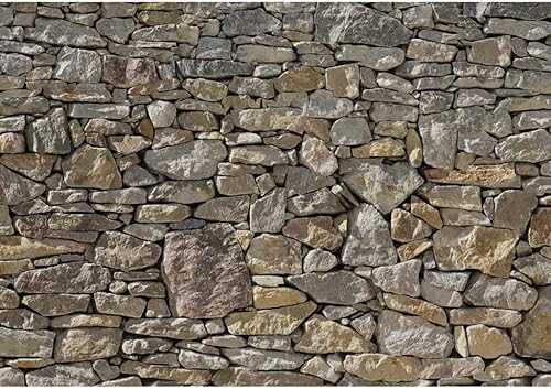 Mural de pared de piedra 8-727 de Komar de 12 pies de ancho x 8 pies y 4 pulgadas de altura