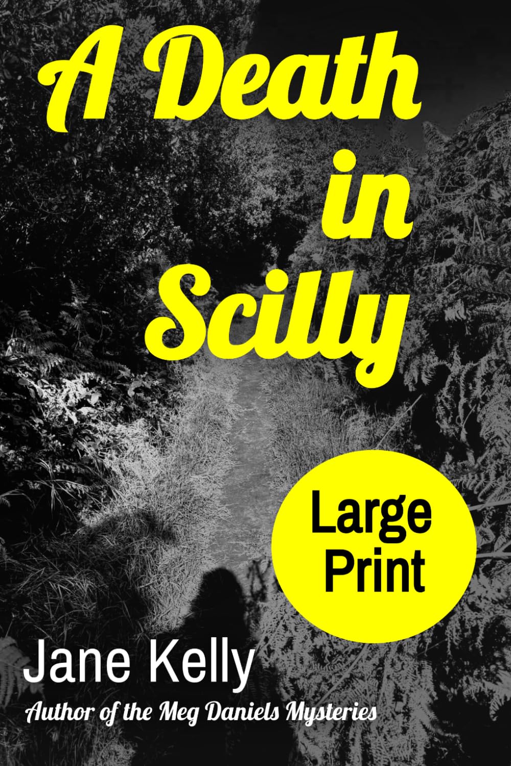 A Death in Scilly: Large Print Edition