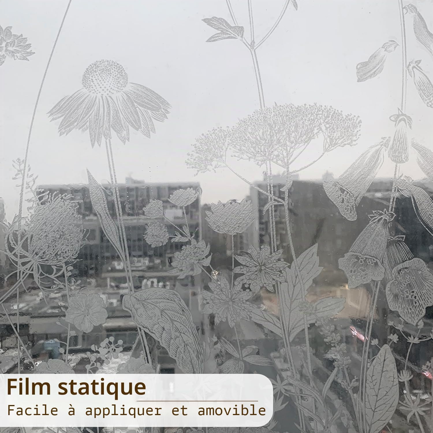 funlife botanique Verre dépoli Films pour fenêtre, Transparent Chardon Marguerite Fleur Sauvage Film pour fenetre, décoratif Double Face Convient pour Les Salons, Chambre à Coucher, Bureau 120X58CM