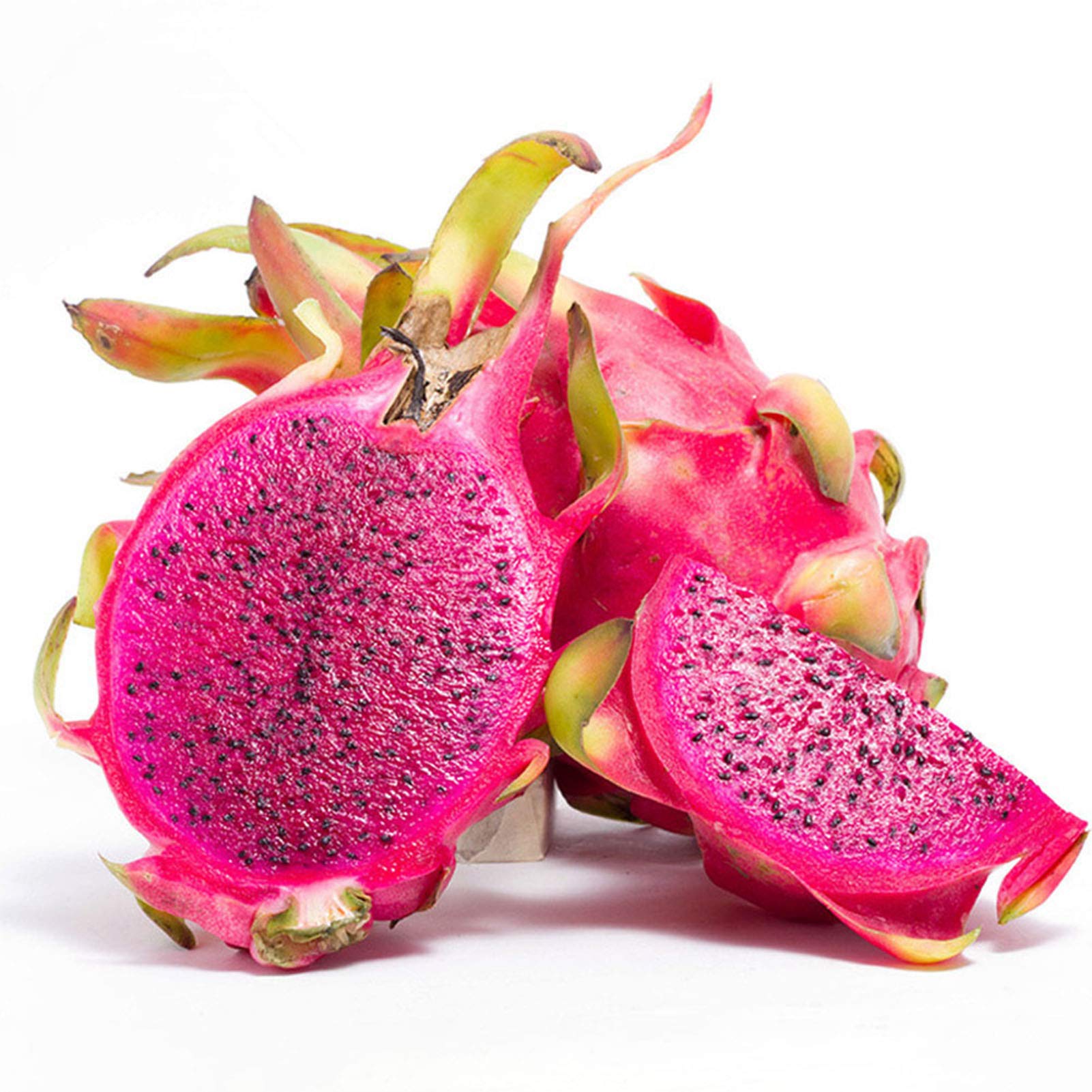 GGOOT 50Pcs Pitaya Seeds Fresh Red Dragon Fruit Sweet Delicious Fruit Seeds Hylocereus Undatus Cactus Seeds for Planting Outdoor Garden Yard Red Pitaya Seeds