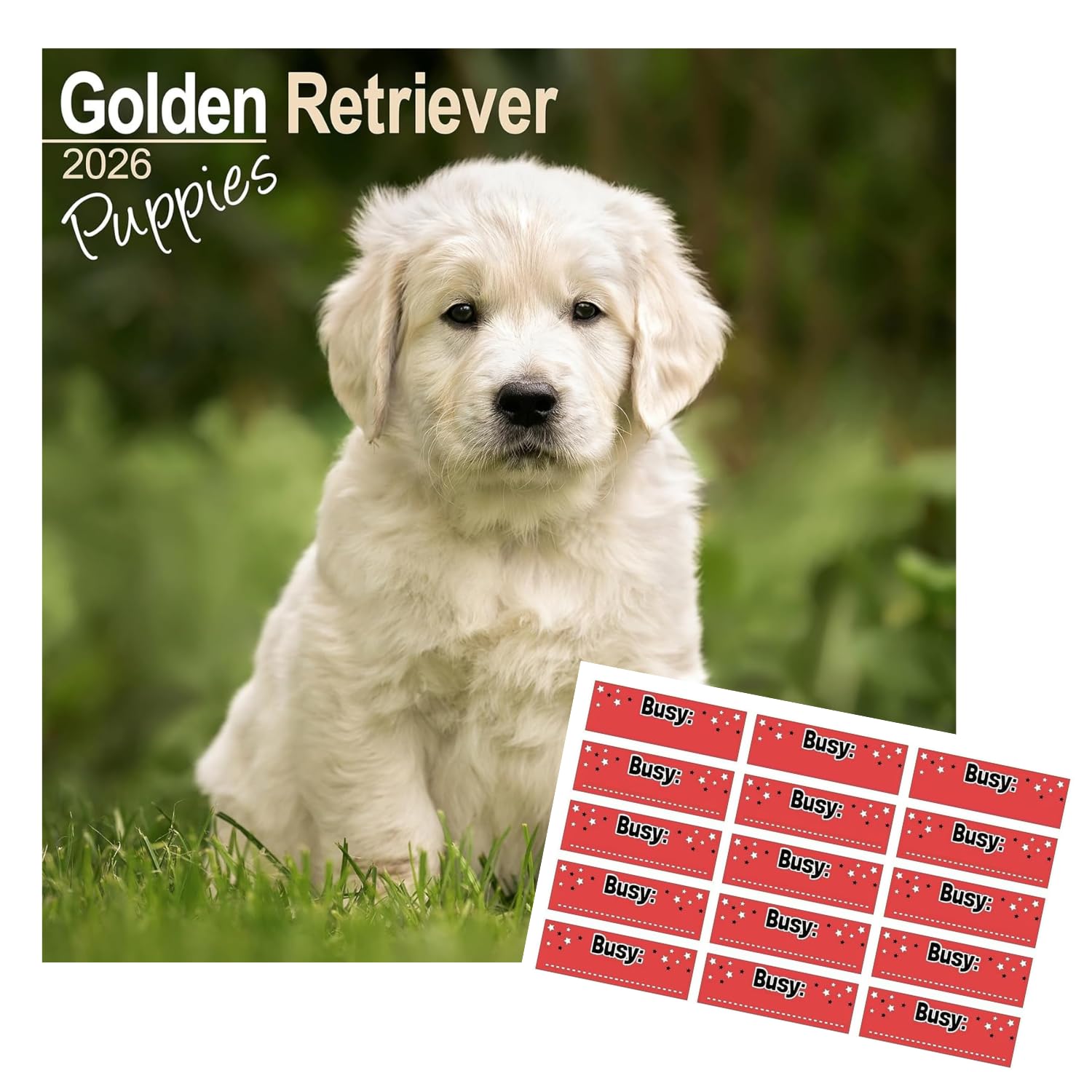 Golden Retriever Calendar 2026 – Avonside Publishing Ltd