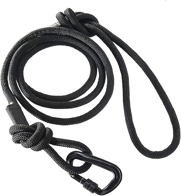 Embark Sierra Dog Lead with Mountain Climbing Rope and Carabiner. Unmatched Strength & Durability, 6ft, Colourful, and Sturdy Nylon Dog Leads for Small, Medium, Large Breed Dogs. Heavy Duty Dog Leash