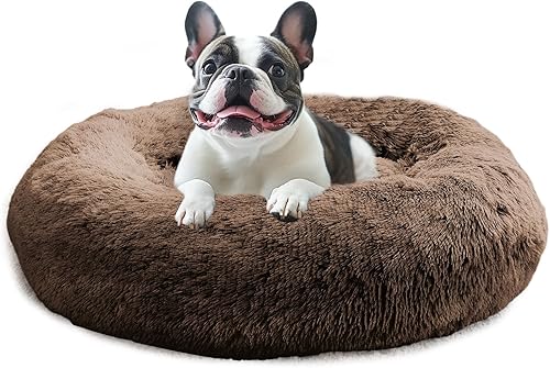 Miniatura 23 de JOLLYVOGUE Cama Calmante para Perros Pequeños - Cama para Perros Pequeños Lavable en Forma de Dona de 23 Pulgadas para Gatitos y Cachorros, Camas