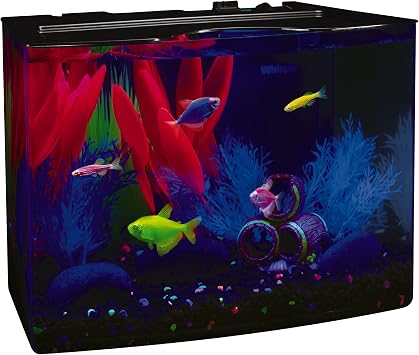 طقم حوض السمك الهلال GloFish 3 جالونات ، يشمل ضوء LED أزرق مخفي ومرشح داخلي