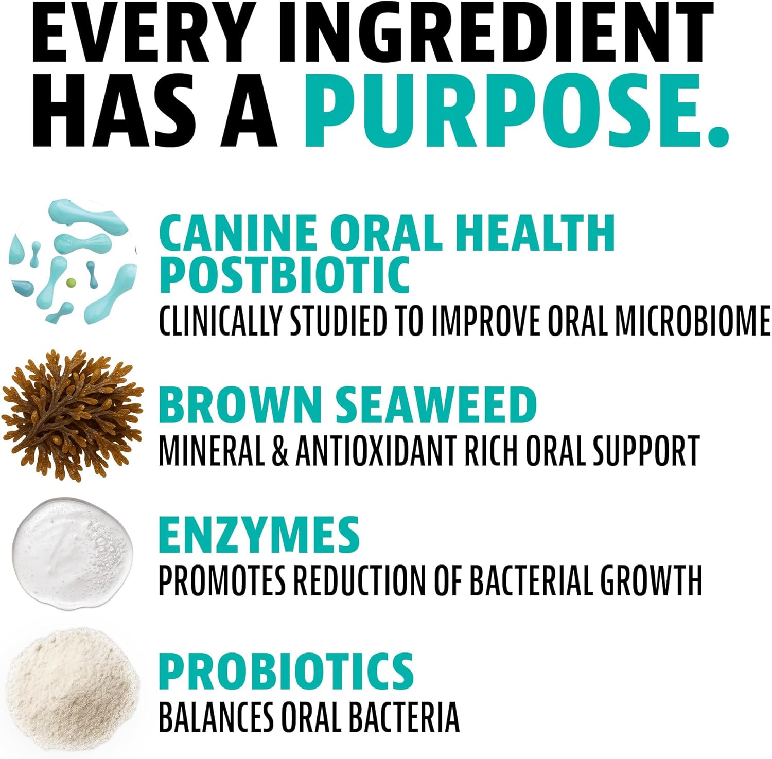 Dinovite Dog Dental Powder, Brush-Free Breath Freshener & Teeth Cleaning Dental Care Powder with Probiotics & Postbiotics, Oral Care Bad Breath Treatment, Large Dogs, Made in USA, 30 Day Supply