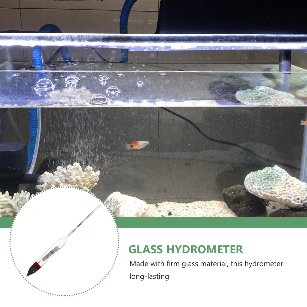 Ciieeo Salzgehalt Hydrometer für Aquarien Präzises Salzwassergravimeter zur Genauen Messung Des Salzgehalts Meerwasser Aquarien für Aquakulturen zur Optimalen Wasserqualität