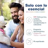 Ver la foto 3