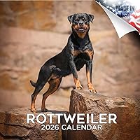 Vista 189 de Razas de Perros 2017