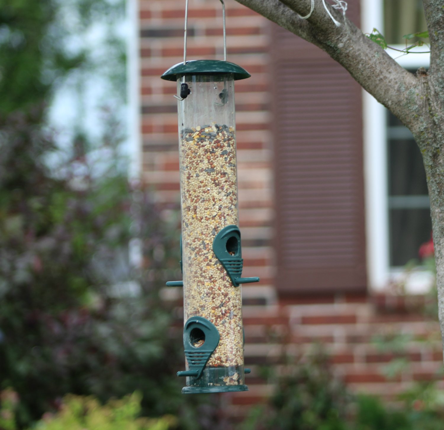 Vogelhäuschen Aus Metall Mit Sichtfenster – Für Sonnenblumenkerne, Grün, Einfach Zu Reinigen