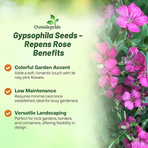 Miniatura 9 de Gypsophila color blanco Blanco