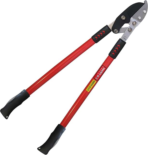TABOR TOOLS GG12A Anvil Lopper with Compound Action, 30 Inch Tree Trimmer, Branch Cutter with ⌀ 2 Inch Cutting Capacity, C...