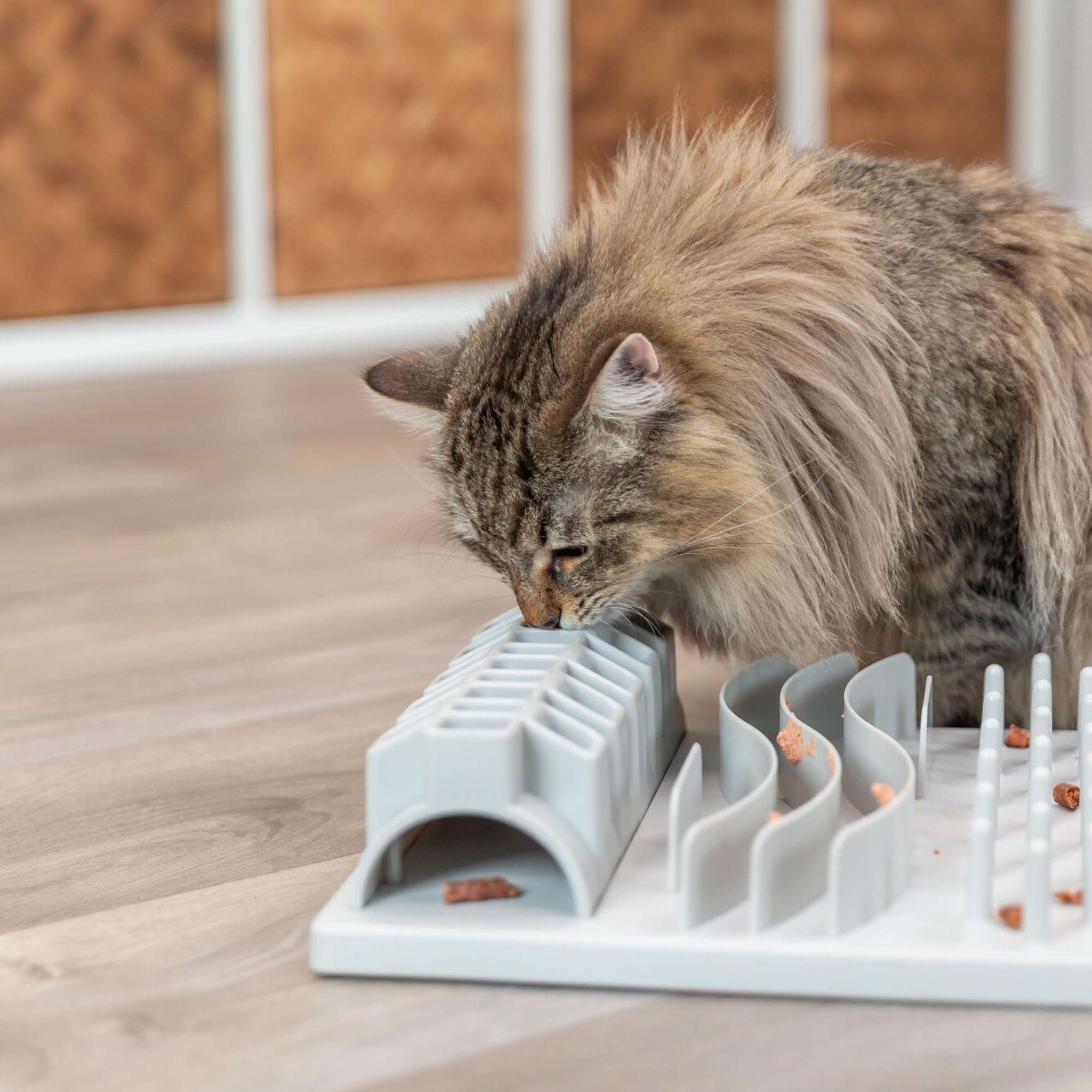 TRIXIE Cat Activity Fun Board – jouet d'intelligence interactif pour chat – jeu de stratégie pour la stimulation mentale, la réflexion & l'apprentissage – 30 × 40 cm