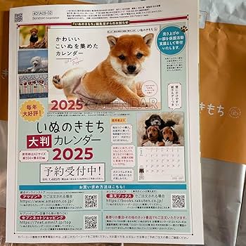 いぬのきもち 9号 セット いぬのきもち 9月号 + しつけ本セット - メルカリ