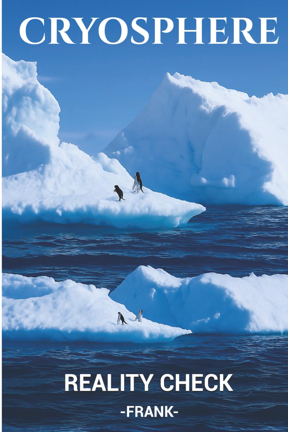 CRYOSPHERE: REALITY CHECK - FRANK