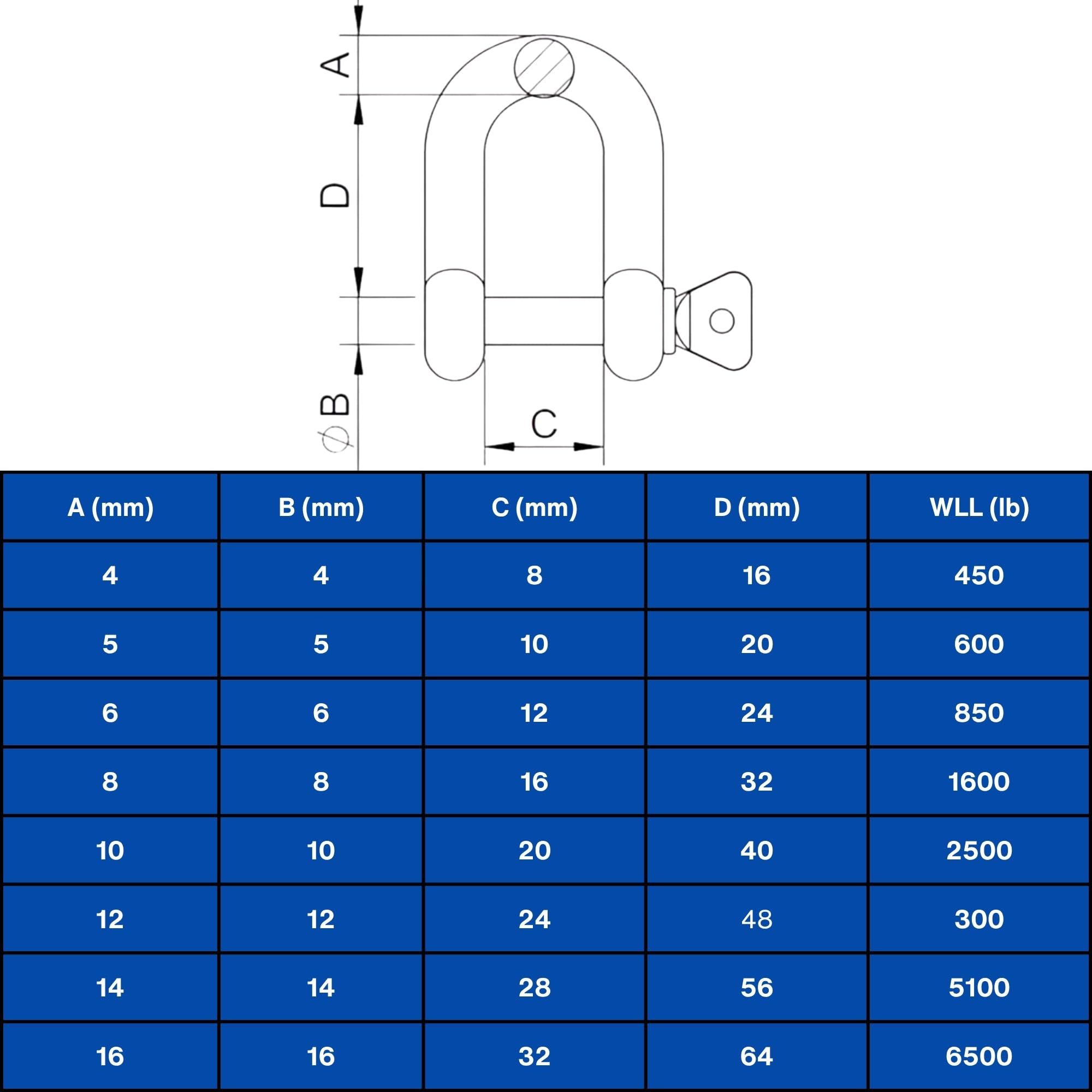 MarineNow - Grillo a D in acciaio inox 316, misura e quantità di confezione (12 mm, confezione da 10 pezzi)
