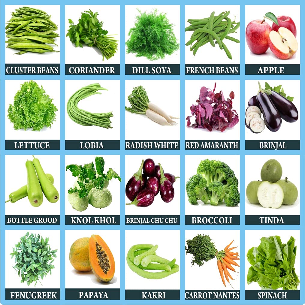Rosemary 20 Types of Mix Vegetables Seeds Combo With Instruction Manual Inside (B093PZSXJ2) Amazon Price History, Amazon Price Tracker