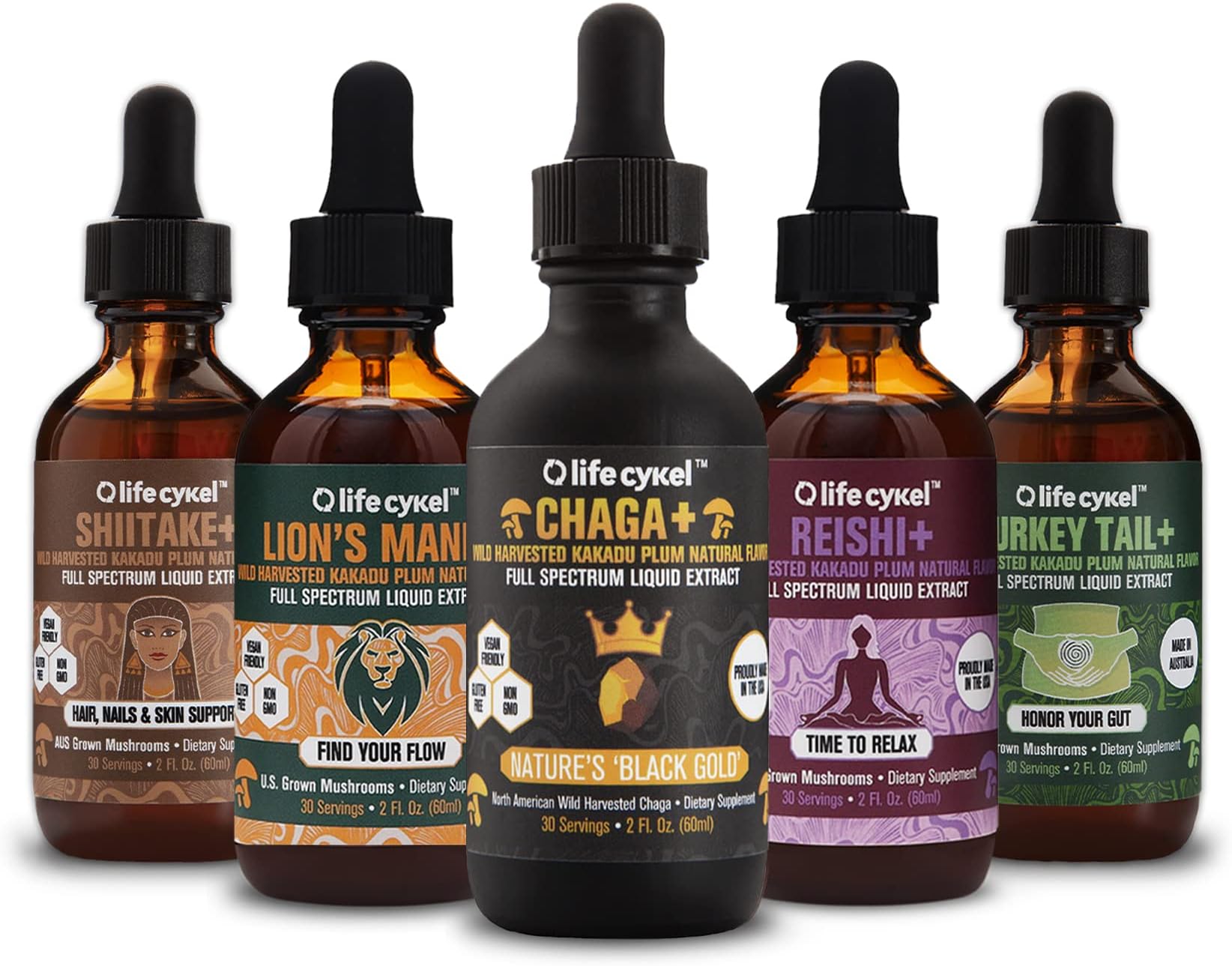LIFE CYKEL Chaga Biohacker Set - Lion's Mane, Chaga, Turkey Tail, Reishi, Shiitake 100% Organic Mushrooms, 5 ct, 1 ea