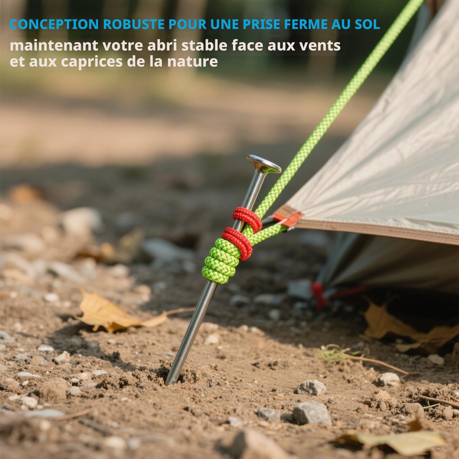 Sardines de Fixation 18 Pièces Sardines Camping Piquet de Tente Piquet Ancrage avec Embout et Rondelles pour Extérieur Pique-Nique Randonnée Pêche