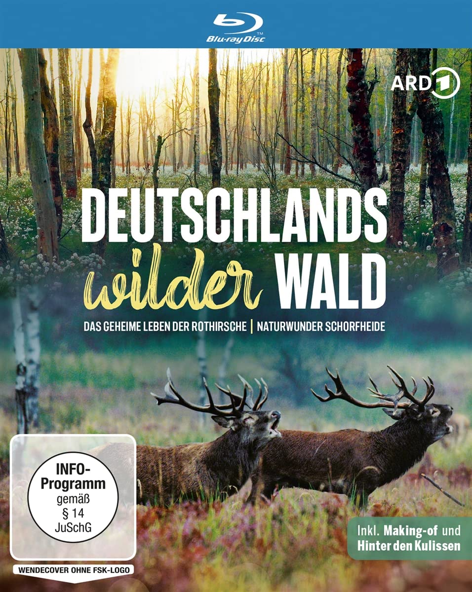 Deutschlands wilder Wald: Das geheime Leben der Rothirsche & Naturwunder Schorfheide