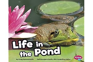 Life in a Pond: A Pebble in the Pond