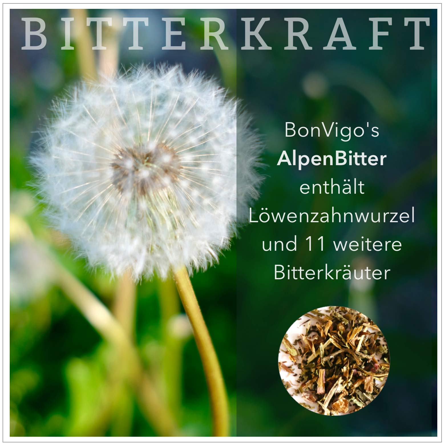 AlpenBitter 3 Monate - 13 Kräuter Bitterstoffe Formel mit Mariendistel, Enzian, Wermut & Löwenzahn – Cholin unterstützt Leberfunktion & Fettstoffwechsel – Nach altem Klosterrezept (3)
