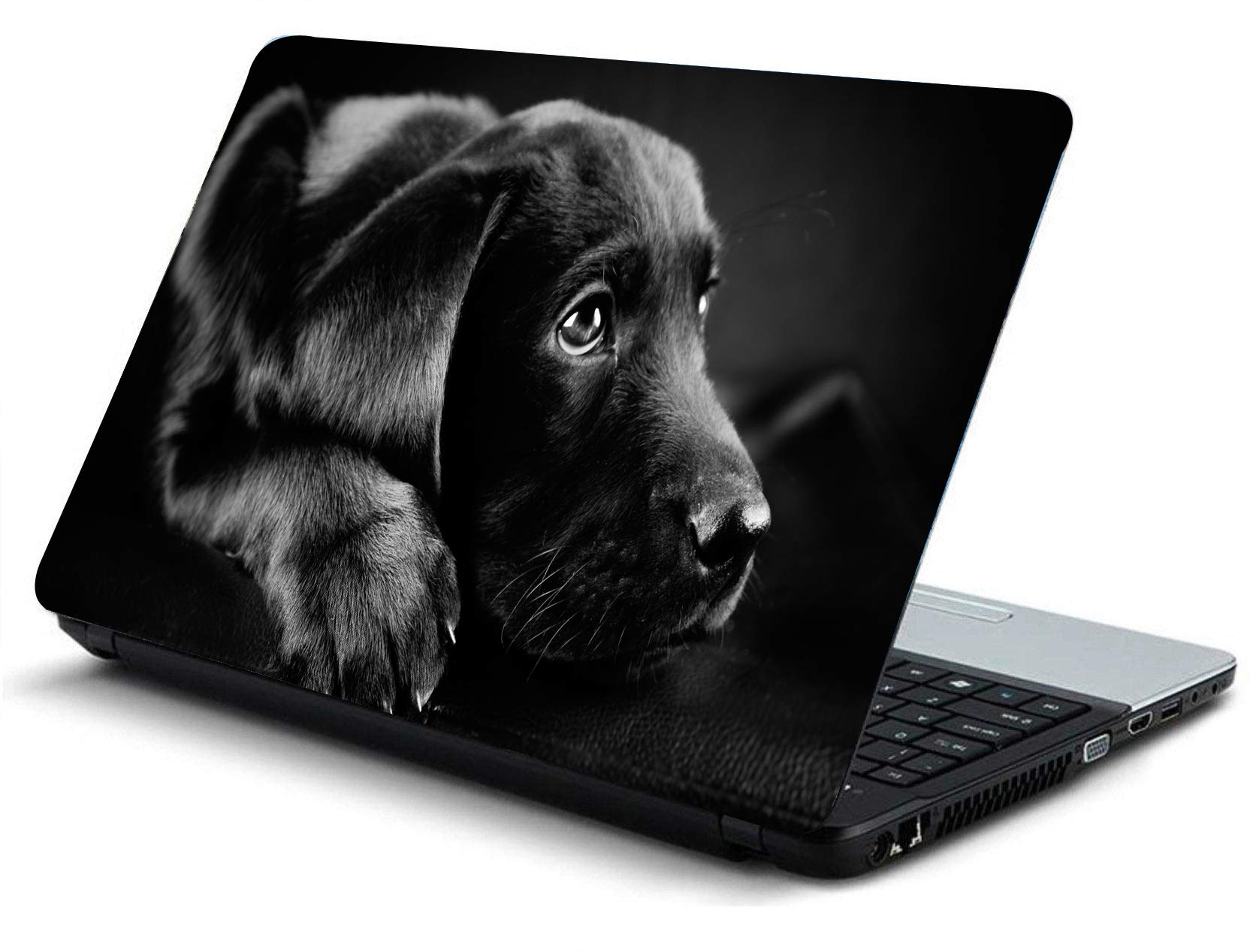 ISEE 360® Laptop Skin Cover Laminated Black Dog Stickers and Free Track pad Skin Girls Boys Kids Students Office Vinyl Printed Multicolored HD Quality Sticker 15 15.6 Inches (B08QMD6LP6) Amazon Price History, Amazon Price Tracker