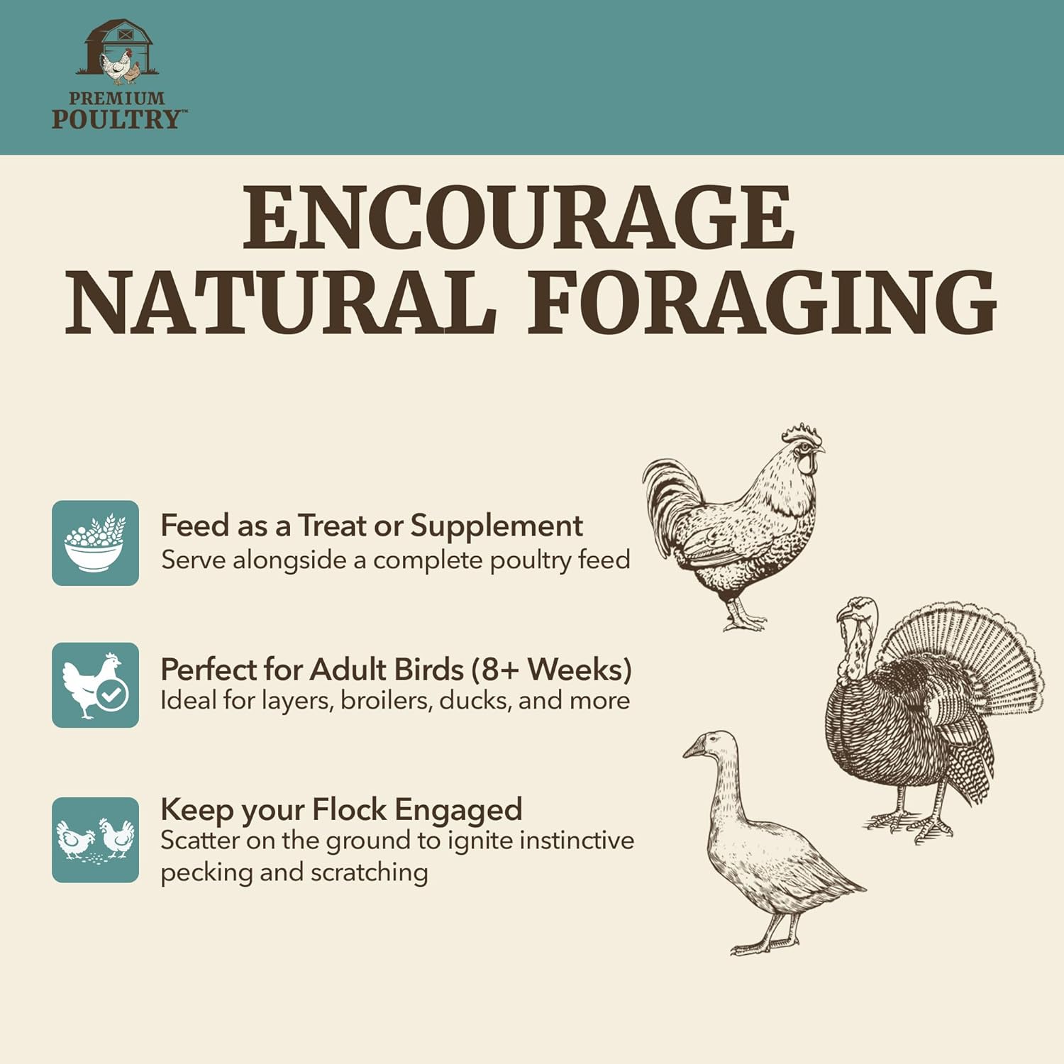 Scratch Grain for Adult Chickens, Ducks, and Turkeys, Vegetarian Mix of Three Grains, Training Aid & Natural Foraging, 40 Pounds