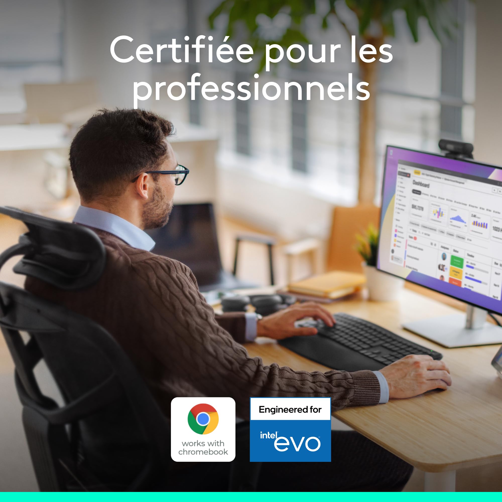 Logitech Signature Comfort Plus M850 L for Business, Souris sans Fil, Design profilé avec Repose-Poignets, clics Silencieux, récepteur sécurisé/Bluetooth, Windows/Mac/ChromeOS/Linux/iPadOS - Graphite