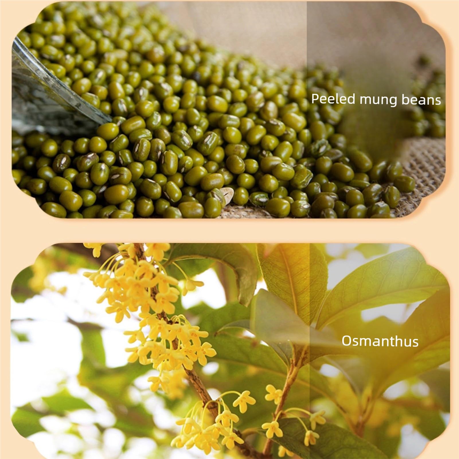 Lunaeturn Gâteau à la Fleur d’Osmanthus– 30g*6 Pièces | Douceur Chinoise Traditionnelle Texture Moelleuse et Saveur Florale Délicate | Idéal pour le Thé ou comme Dessert