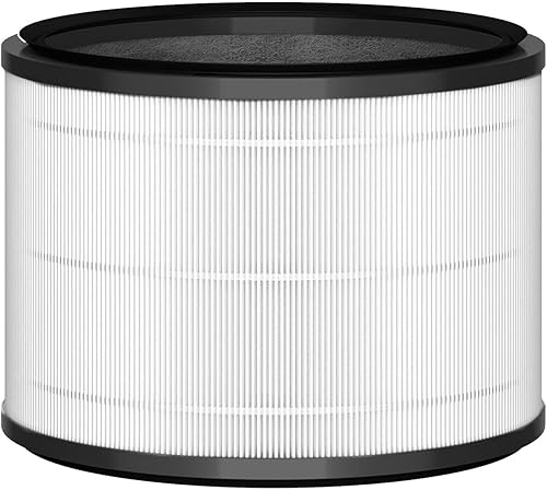 Dyson 968101-04 Filtro de plástico