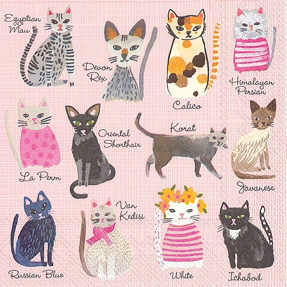 Boston International IHR 3-Ply Paper Napkins, 20-Count Cocktail Size, Cupcakes Cat