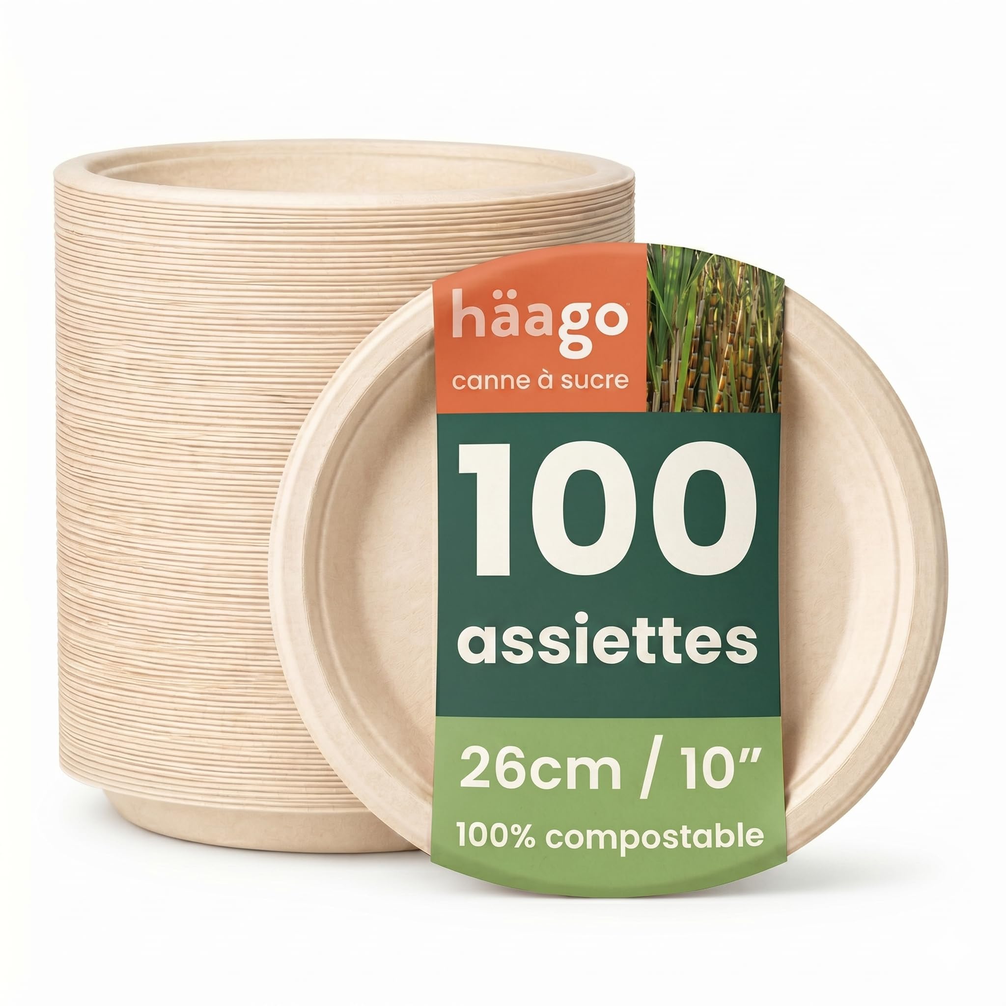HAAGO 100 Assiettes Jetables Solides & Compostables 26 cm / 10" – Canne à Sucre (Bagasse) – Assiettes Carton Rigides, Anti-Graisse & Anti-Fuites – Pour Chaud & Froid, Buffet, BBQ, Traiteur