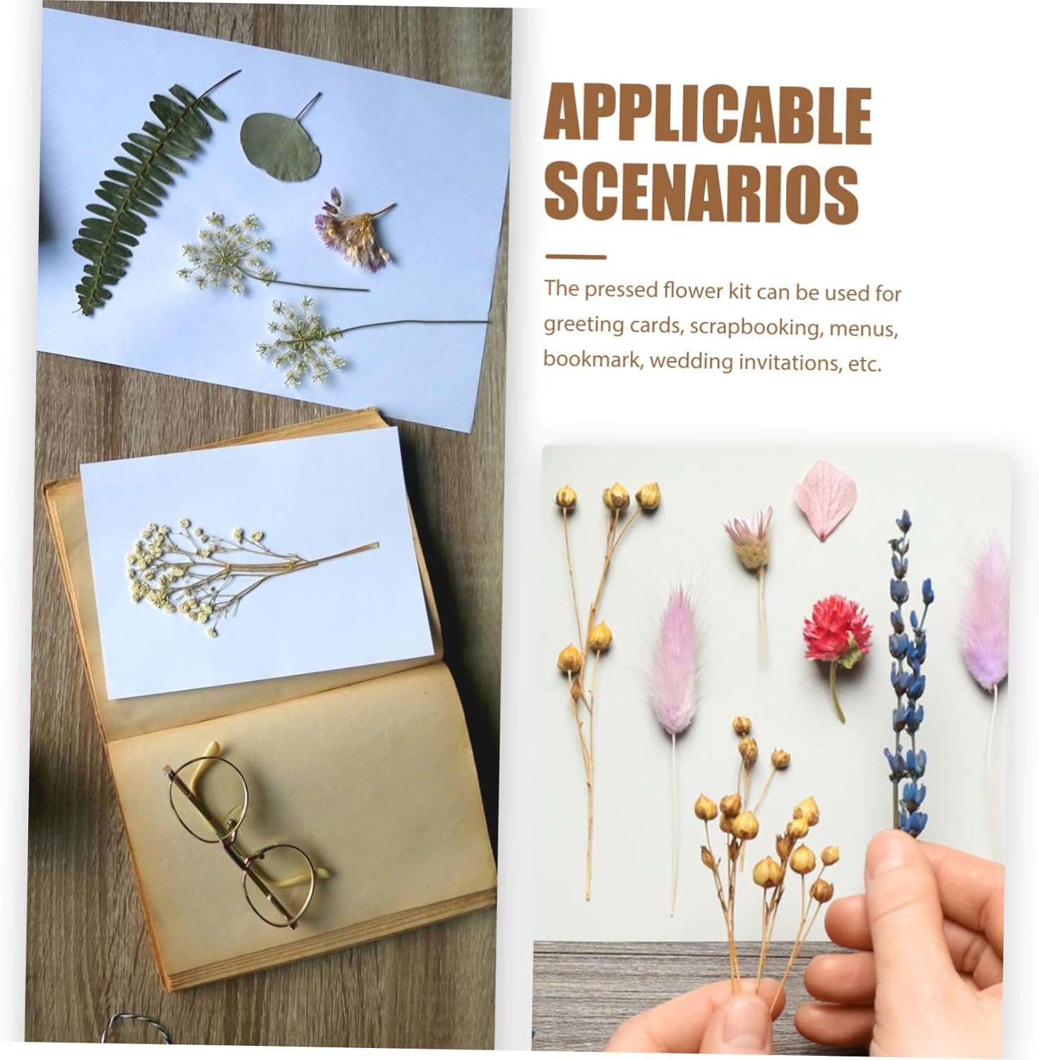 Gogogmee 1 Set Flower Pressing Kit of Durable Drying Plates for DIY Specimens for Pressed Dried Flowers Scrapbooking and Art Projects