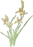 Vista 13 de Parches de flores de begonia para coser, bordados para ropa DIY, chaquetas, jeans, mochilas, sombreros, manualidades de costura (Begonia rosa)