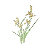 Sourcemall Sew on Rose Floral Patches, Embroidered Flower Appliques for DIY Clothing, Jackets, Jeans, Backpacks, Hats, Arts Craft Sew Making (Yellow Orchid)