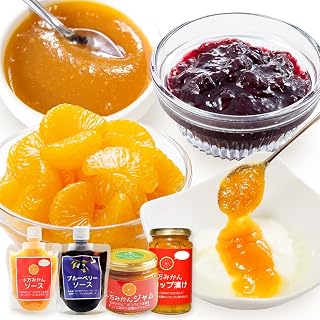 加工品4種セット ソース 2種 ジャム シロップ漬け 各1個 田野農園《30日以内に出荷予定(土日祝除く)》鹿児島県 さつま町 十万温州みかん ブルーベリー くだもの フルーツ ジューシー