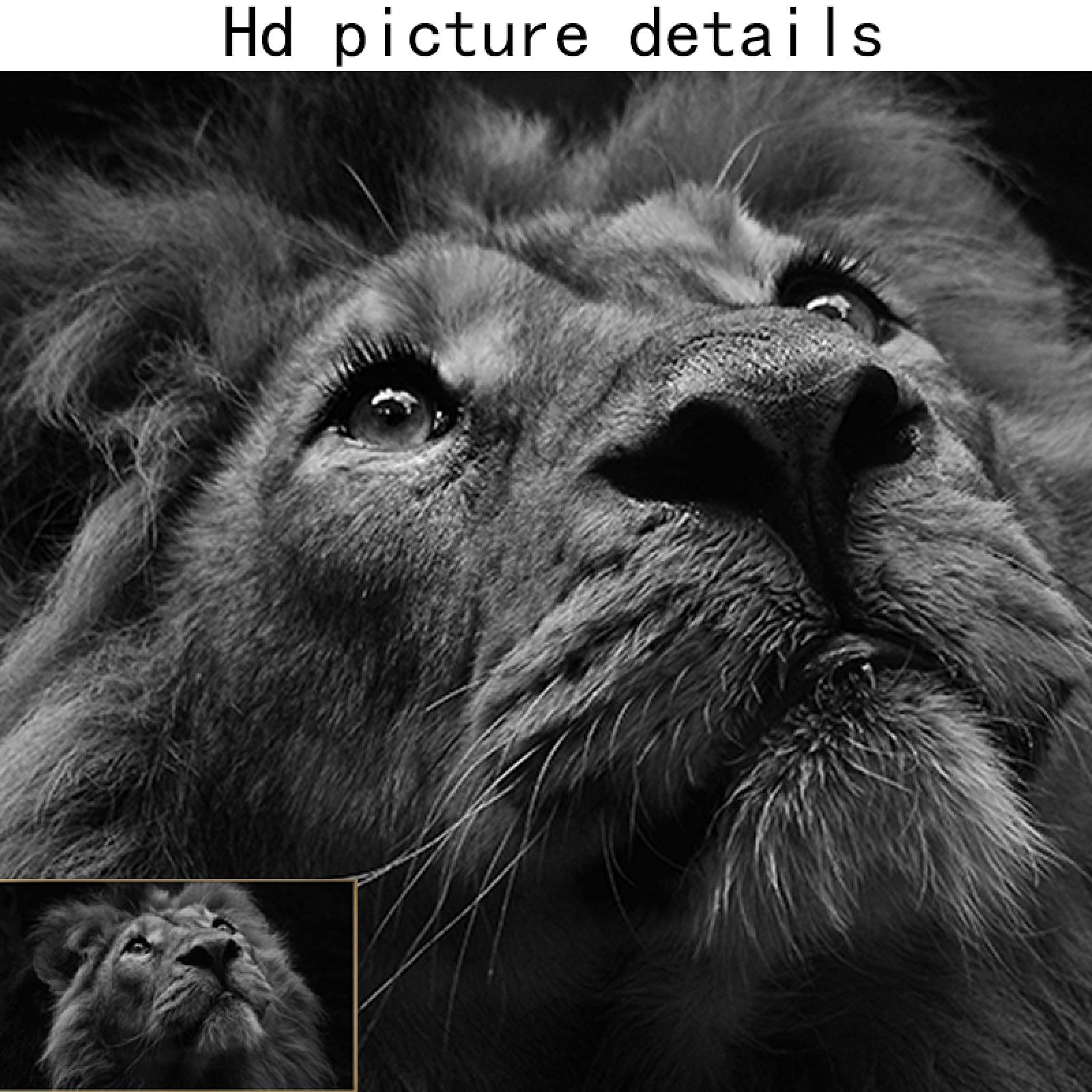553638_7
