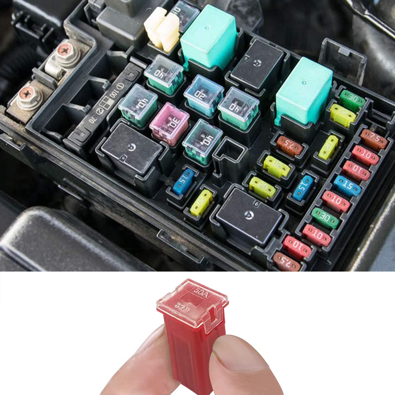 Kit assortito di 1221 fusibili per auto mini e standard a lama alta/STD profilo a forma di scatola fusibili con estrattore di fusibili e tester per circuiti, per auto, camion, SUV, barche, organizer