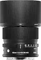 Amazon.co.jp: シグマ(Sigma) レンズ 90mm F2.8 DG DN Sony