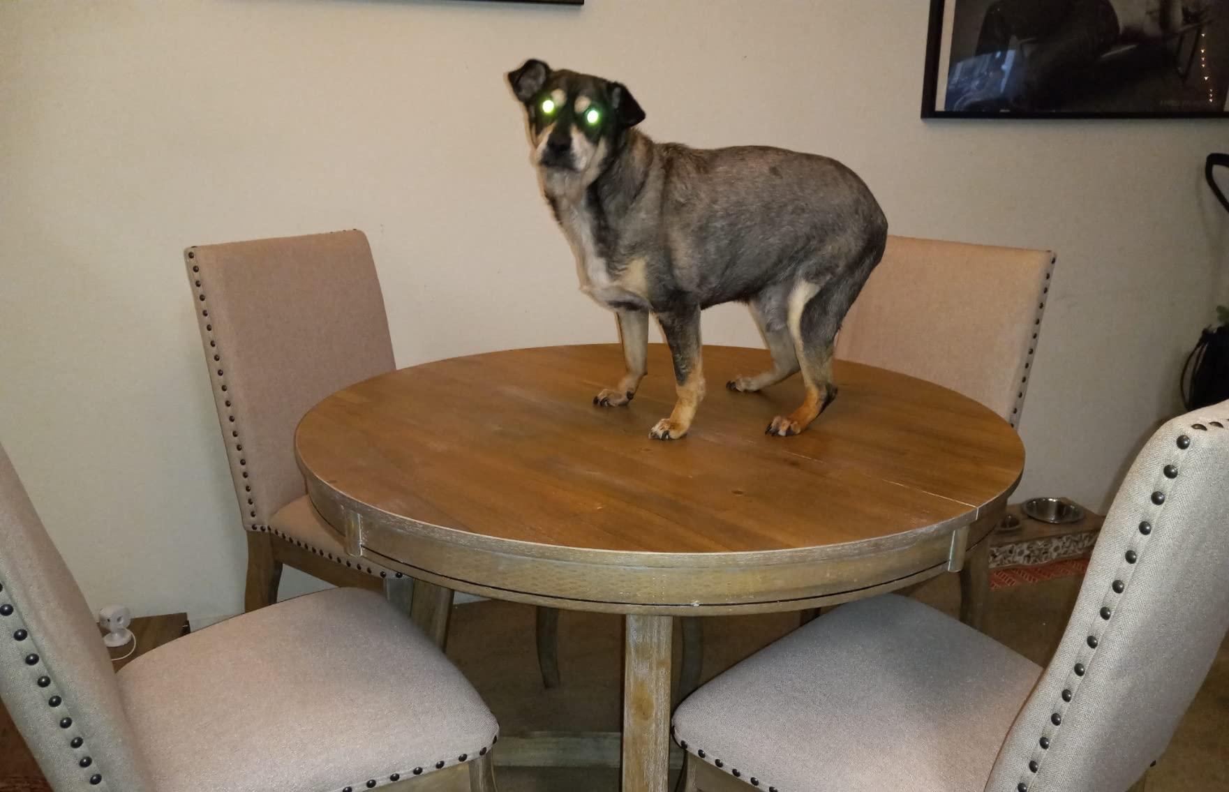 42/mo Finance Merax 5Piece Wooden Counter Height Dining Table Set