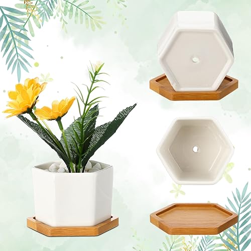 Miniatura 5 de 32 juegos de macetas para suculentas, macetas pequeñas para suculentas con drenaje de cerámica, maceta de cerámica con bandeja de bambú para