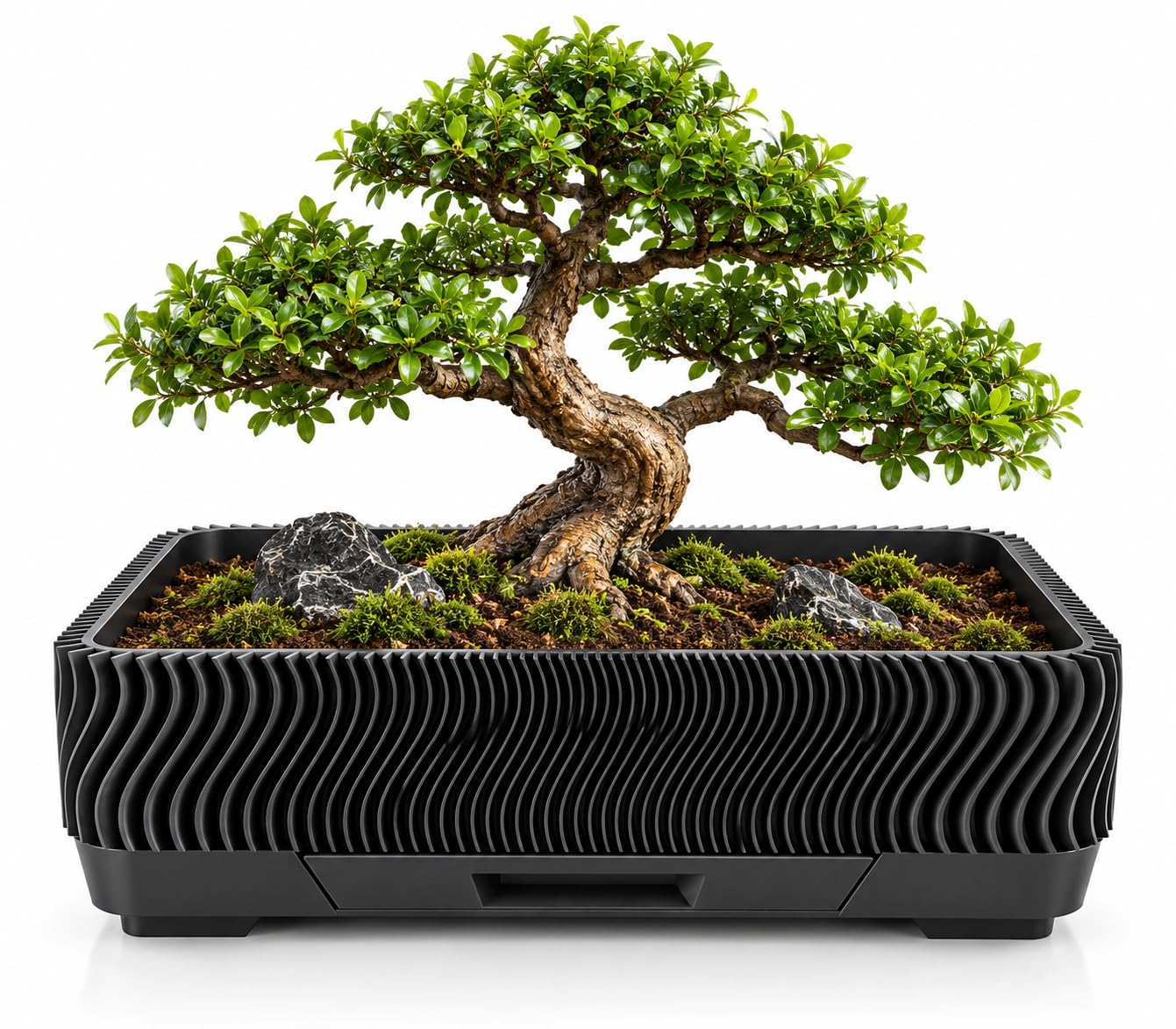 mgsc wave bonsai pot for indoor use, 3d printed polymer, rectangular planter with drainage hole, removable water collection tray & extra inner tray, 243 × 209 × 80 mm