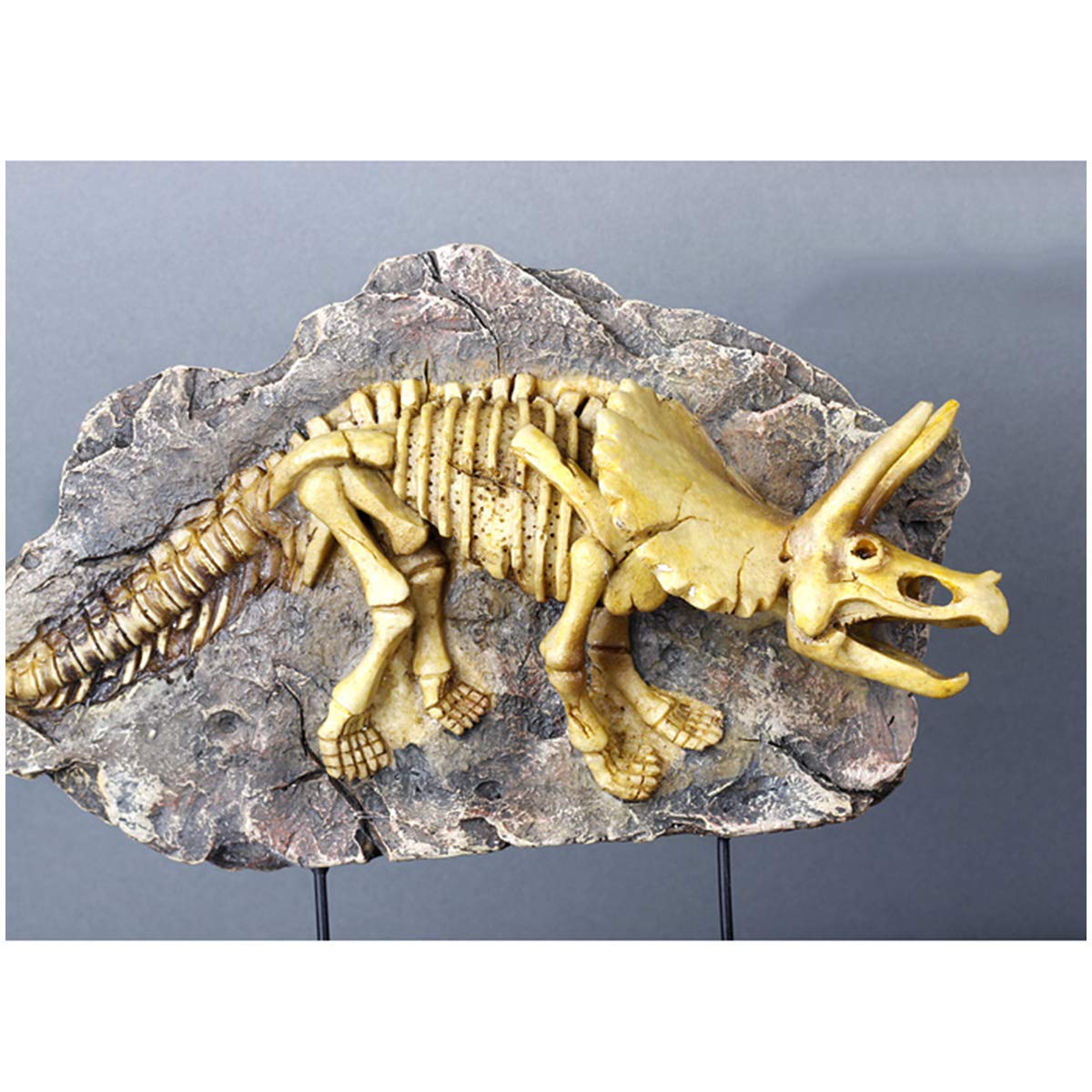 Jurassic-Dinosaurier-Statue, Dinosaurier-Harzmodell, Dinosaurierskelett, Tiermodell – Simuliertes Skelett, Harz-Fossil-Probenmodell – Harzhandwerk, Persönlichkeitsdekorat(Triceratops)