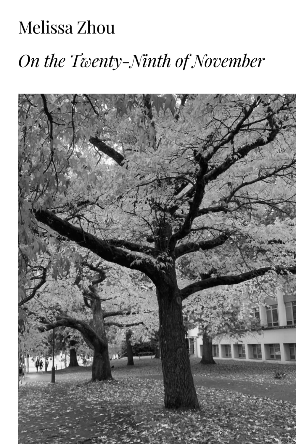 On the Twenty-Ninth of November